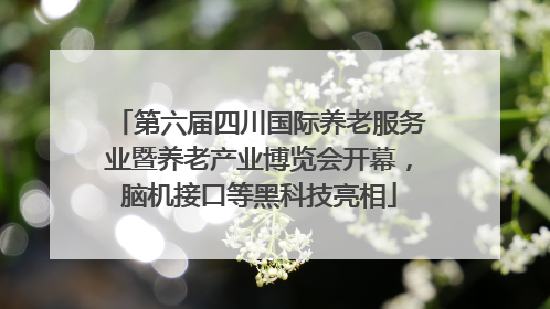 第六届四川国际养老服务业暨养老产业博览会开幕，脑机接口等黑科技亮相