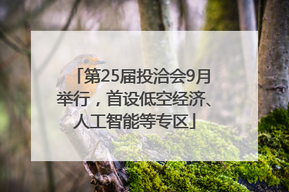 第25届投洽会9月举行，首设低空经济、人工智能等专区