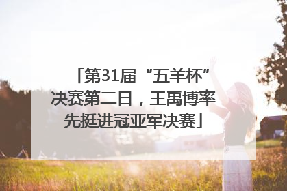 第31届“五羊杯”决赛第二日，王禹博率先挺进冠亚军决赛