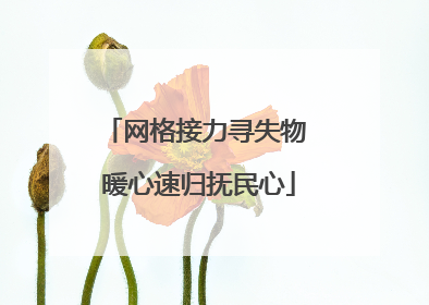 网格接力寻失物 暖心速归抚民心