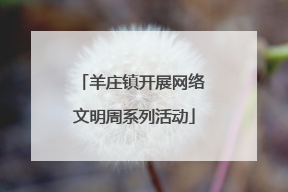 羊庄镇开展网络文明周系列活动