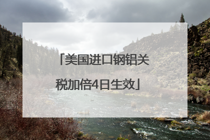 美国进口钢铝关税加倍4日生效
