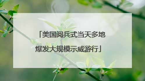 美国阅兵式当天多地爆发大规模示威游行