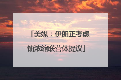 美媒：伊朗正考虑铀浓缩联营体提议
