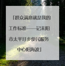 群众满意就是我的工作标准——记耒阳市太平圩乡便民服务中心阳海波