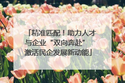 精准匹配！助力人才与企业“双向奔赴” 激活民企发展新动能