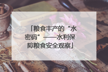 粮食丰产的“水密码”——水利保障粮食安全观察