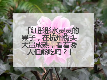 红彤彤水灵灵的果子，在杭州街头大量成熟，看着诱人但能吃吗？