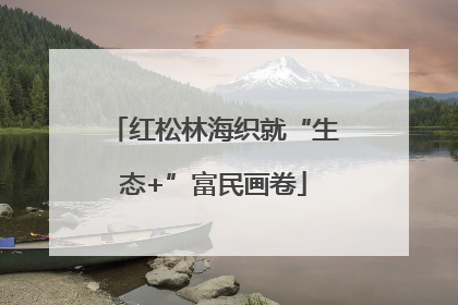 红松林海织就“生态+”富民画卷