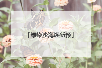 绿染沙海焕新颜