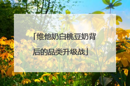 维他奶白桃豆奶背后的品类升级战