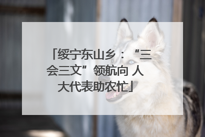 绥宁东山乡：“三会三文”领航向 人大代表助农忙
