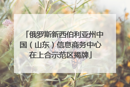 俄罗斯新西伯利亚州中国（山东）信息商务中心在上合示范区揭牌