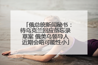 俄总统新闻秘书：待乌克兰回应备忘录草案 俄美乌领导人近期会晤可能性小