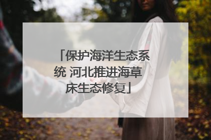 保护海洋生态系统 河北推进海草床生态修复