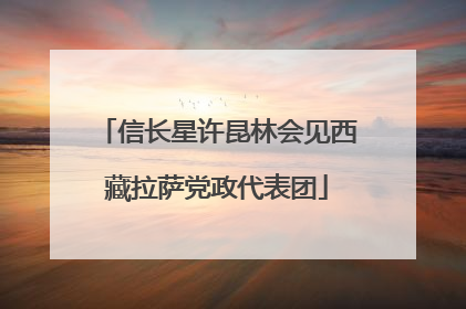 信长星许昆林会见西藏拉萨党政代表团