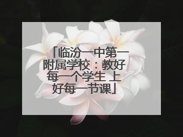 临汾一中第一附属学校：教好每一个学生 上好每一节课