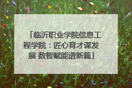 临沂职业学院信息工程学院：匠心育才谋发展 数智赋能谱新篇
