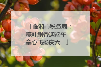 临湘市税务局：粽叶飘香迎端午 童心飞扬庆六一
