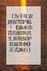 为千年农遗保驾护航！《丽水市青田稻鱼共生系统保护发展条例》正式施行