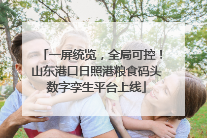 一屏统览，全局可控！山东港口日照港粮食码头数字孪生平台上线
