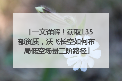 一文详解！获取135部资质，沃飞长空如何布局低空场景三阶路径