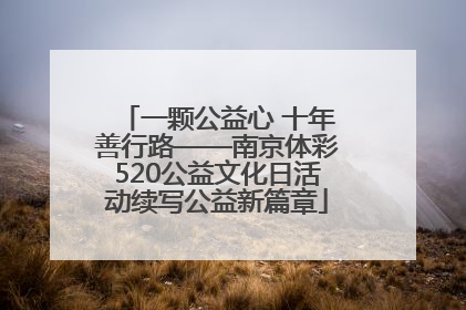 一颗公益心 十年善行路——南京体彩520公益文化日活动续写公益新篇章