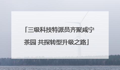 三级科技特派员齐聚咸宁茶园 共探转型升级之路