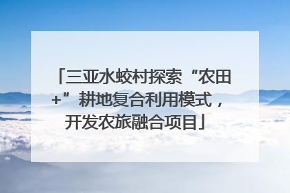三亚水蛟村探索“农田+”耕地复合利用模式，开发农旅融合项目