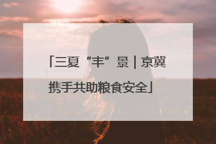 三夏“丰”景｜京冀携手共助粮食安全