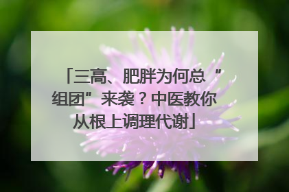 三高、肥胖为何总“组团”来袭？中医教你从根上调理代谢