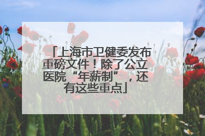 上海市卫健委发布重磅文件！除了公立医院“年薪制”，还有这些重点