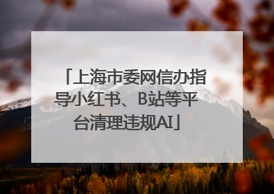 上海市委网信办指导小红书、B站等平台清理违规AI