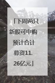 下周两只新股可申购 预计合计募资11.26亿元