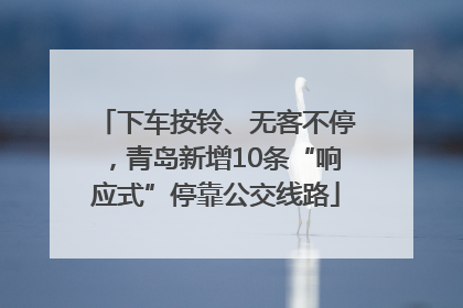 下车按铃、无客不停，青岛新增10条“响应式”停靠公交线路