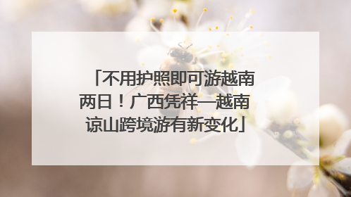 不用护照即可游越南两日！广西凭祥—越南谅山跨境游有新变化