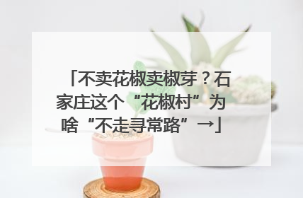 不卖花椒卖椒芽？石家庄这个“花椒村”为啥“不走寻常路”→