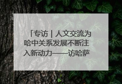 专访｜人文交流为哈中关系发展不断注入新动力——访哈萨克斯坦文化与信息部部长巴拉耶娃