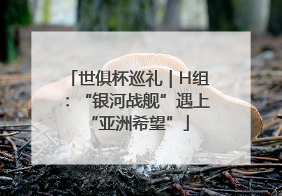 世俱杯巡礼｜H组：“银河战舰”遇上“亚洲希望”