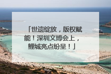 世遗绽放，版权赋能！深圳文博会上，鲤城亮点纷呈！