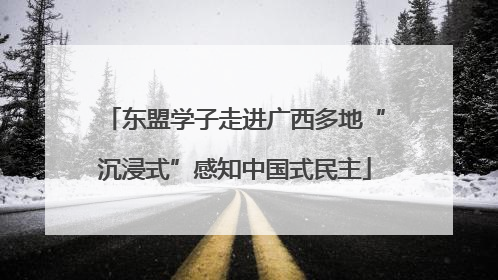 东盟学子走进广西多地“沉浸式”感知中国式民主