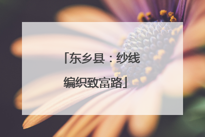 东乡县：纱线编织致富路