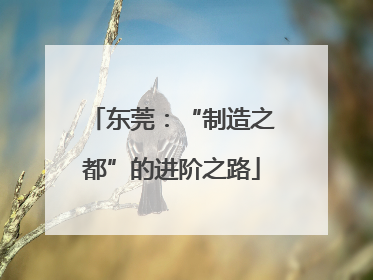 东莞：“制造之都”的进阶之路