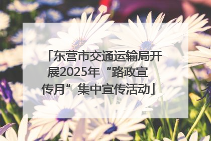 东营市交通运输局开展2025年“路政宣传月”集中宣传活动