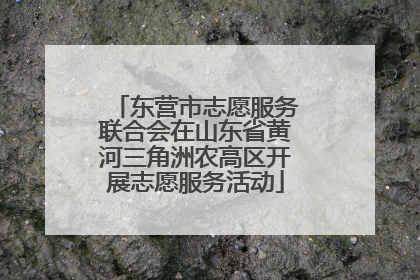东营市志愿服务联合会在山东省黄河三角洲农高区开展志愿服务活动