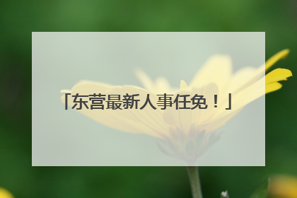 东营最新人事任免！