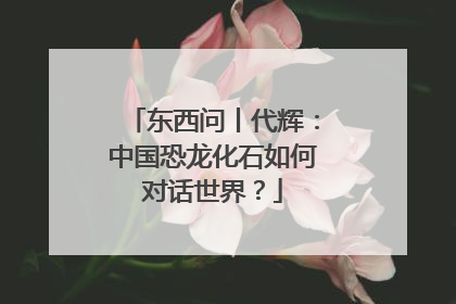 东西问丨代辉：中国恐龙化石如何对话世界？