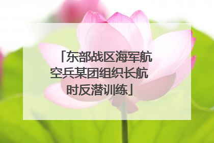 东部战区海军航空兵某团组织长航时反潜训练