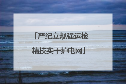 严纪立规强运检 精技实干护电网