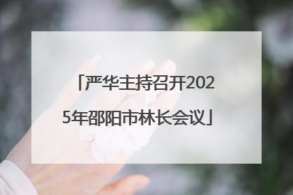 严华主持召开2025年邵阳市林长会议